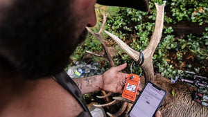 How Improper Tagging Can Lead to Costly Hunting Fines | Hunt-Tag