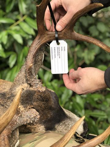 Oregon Hunting 2019: E-Tagging VS. Paper Tagging