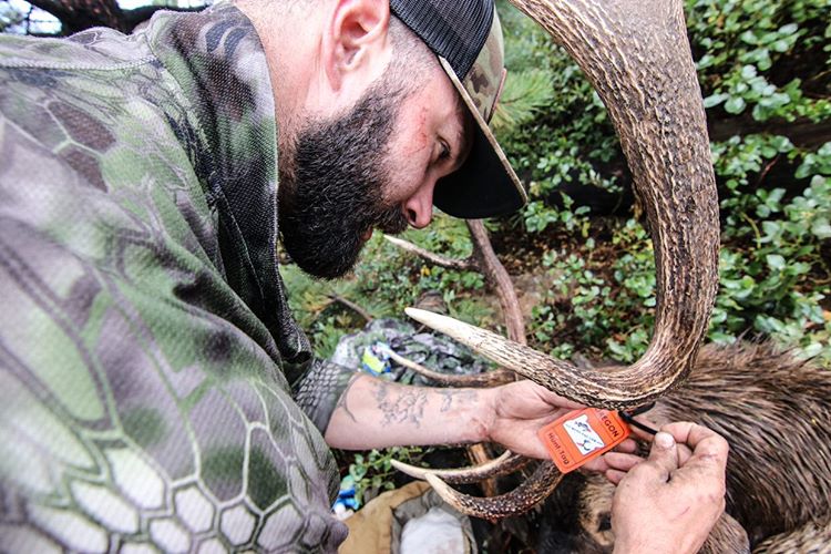 What is a Hunting Tag?
