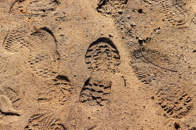 Essential Tracking Skills Every Hunter Should Practice