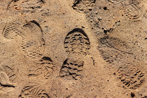 Essential Tracking Skills Every Hunter Should Practice