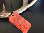 Oklahoma hunt tag kit has everything to tag big game in OK