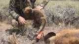Deer tagged with required information after harvest using Hunt-Tag