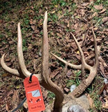 Oklahoma deer tag success with Hunt-Tag